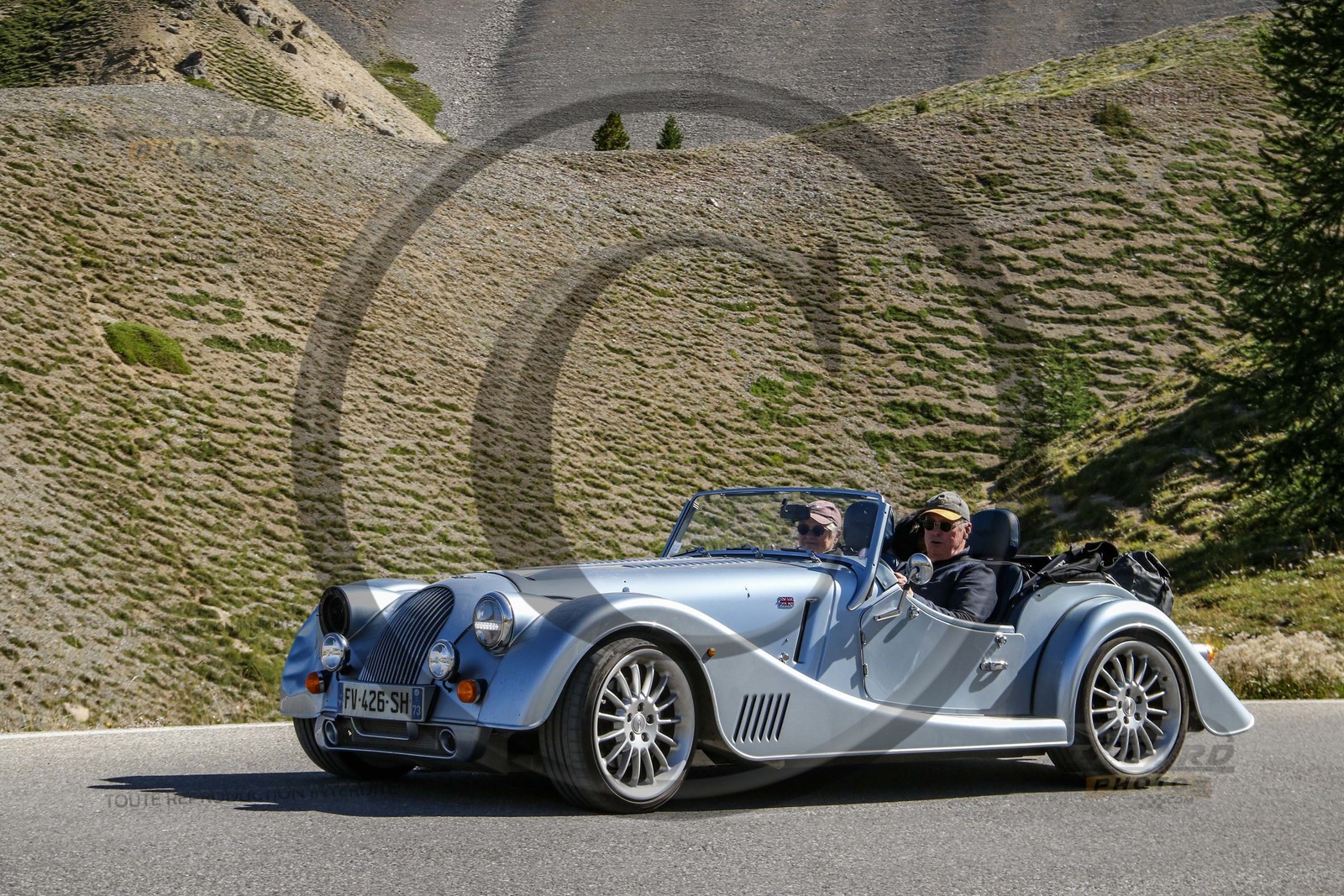 colizoard39150.jpg